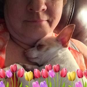 Meet your Posher, Debbie